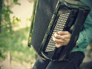 Свирај свирче – Xармоника