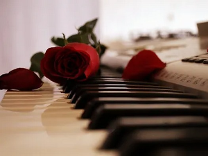 Јованка Трбојевић