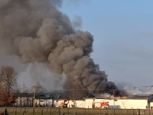 Гори фабрика киселог купуса код Чачка