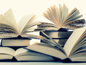 Јелена Ленголд: ,,На погрешном месту“