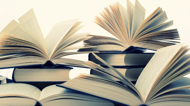 С песником у подне: Јелена Ленголд: ,,На погрешном месту“