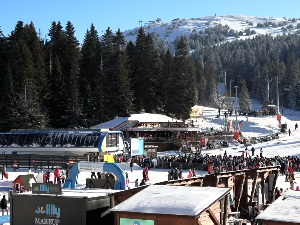 На Копаонику као у кошници