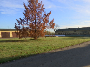 Како је Пољска постала аграрни лидер Европе – од националног тржишта до трпеза широм ЕУ