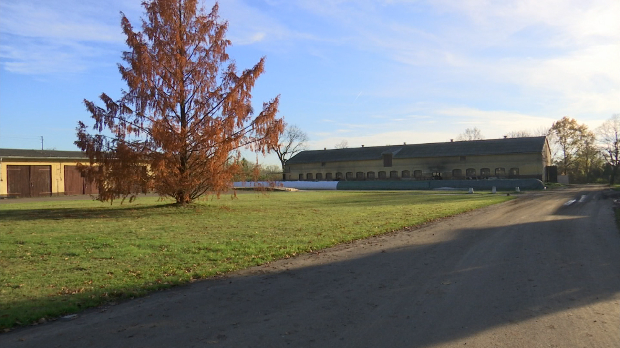 Како је Пољска постала аграрни лидер Европе – од националног тржишта до трпеза широм ЕУ