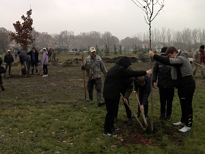 Кикинда: Пошумљавање се наставља чим прођу ледени дани