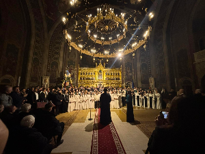 НЦПД ,,Бранко"