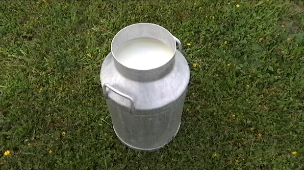 Вишак млека гуши фармере – откуп стао, цене пале; стручњаци упозоравају: Увоз јефтиног сира прави пометњу