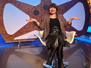 Заводљива телевизија: ТВ серија "Лисице"