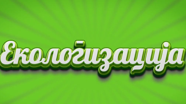 Екологизација: Градске пчеле