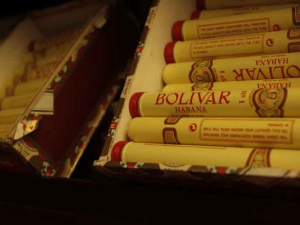 Александар Стипчић, хабана сомелијер