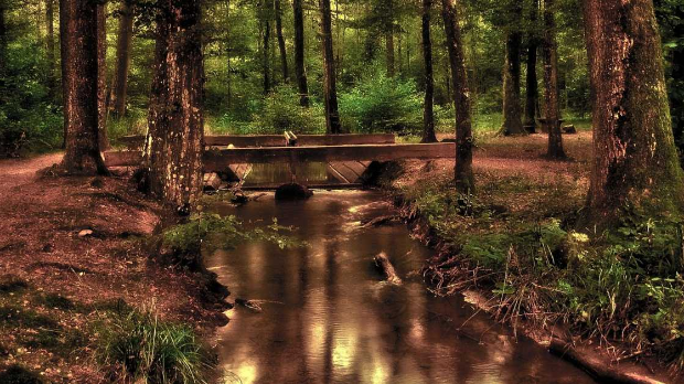 На три воде: Јутарњи програм из три студија