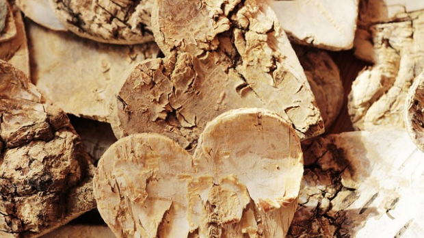 Поштована децо