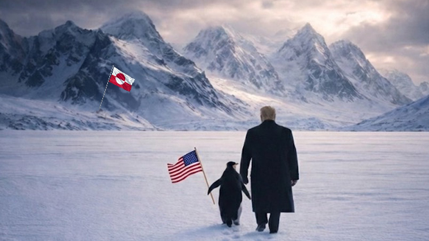 Трамп и пингвин ходају у беспуће – „Али зашто“?