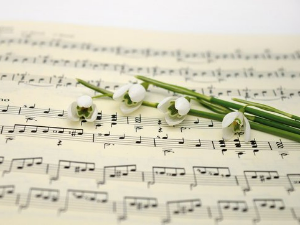 Вокални ансамбли – The Sandpipers