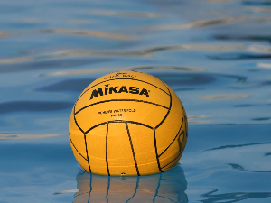 Вести из света спорта