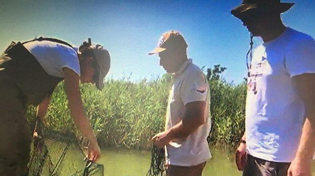 Еко перспективе: Експеримент Цверглан, други део