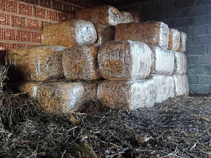 Полиција у Шапцу запленила три тоне дувана, ухапшен осумњичени да је оштетио буџет за скоро 30 милиона динара 