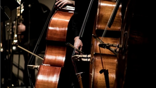 Говори да бих те видео: Жица А на Мишковом контрабасу