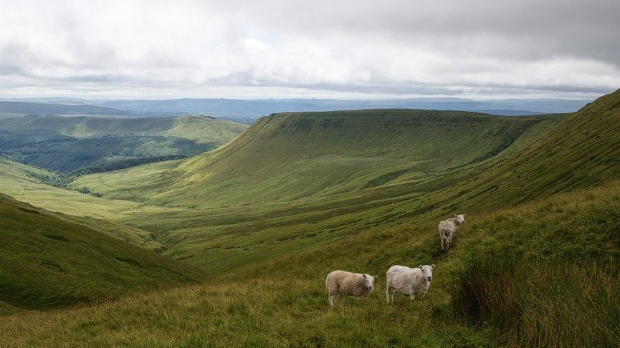 Пут свиле: Jужнa Индијa