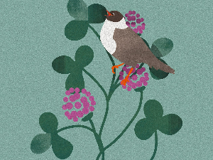 Митолошки речник – Детелина