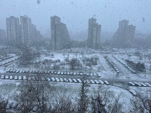 Снег у Србији, забелели се Београд и Војводина