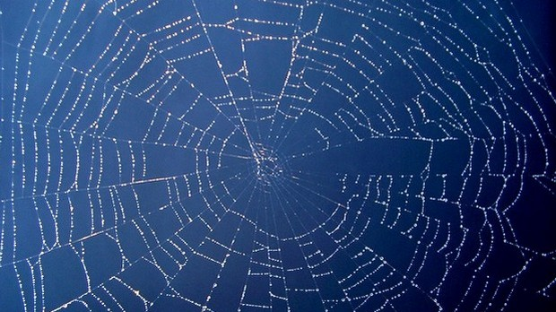 Драмски програм: Жељко Ђорђевић: Девети тест