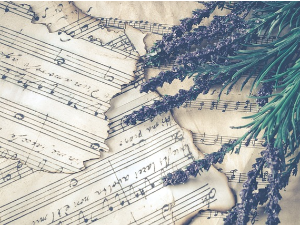 Жене у музици