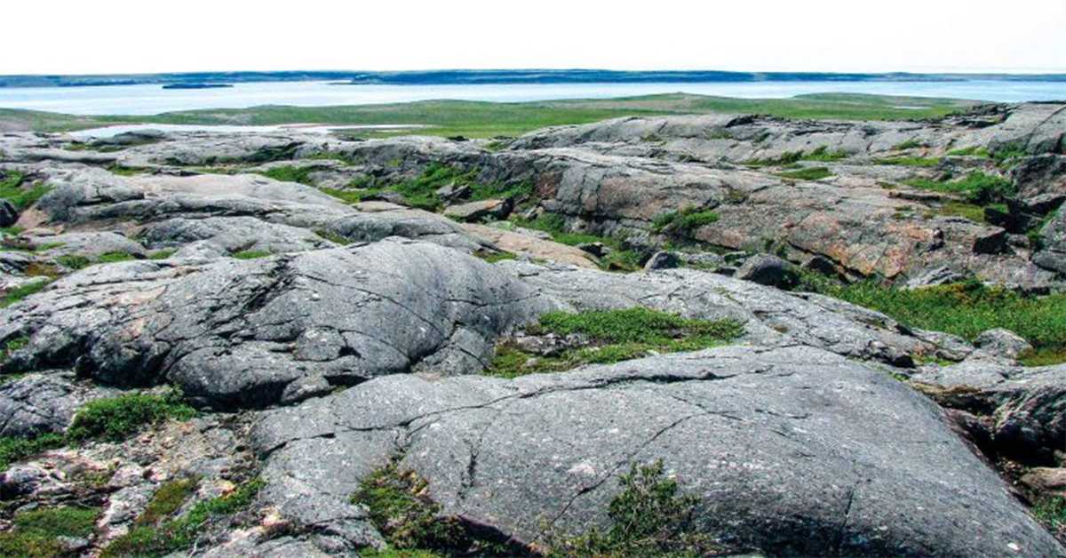 Злато цури из Земљиног језгра и друге невероватне ствари које смо сазнали о планети 2025. године