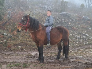 Кућа у Србији имање у Црној Гори