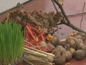 Винил – Грађевинско-дунђерско коло