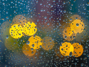 Корак ка науци