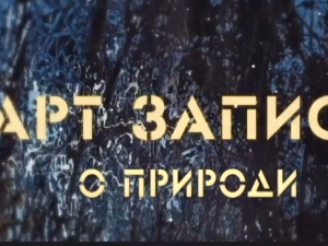 Арт записи о природи, 2. ем.