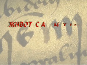 Живот са музиком: Александар Павловић