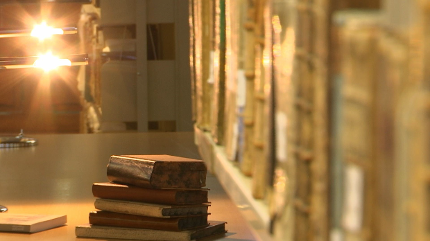 Доситеј путник посвећености: Младост