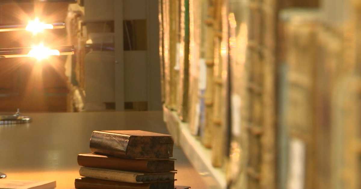 Доситеј путник посвећености: Младост