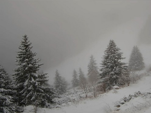 Божићна идила, али проблеми због падавина