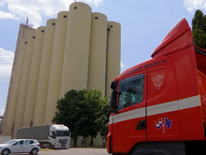 Пад откупне цена пшенице