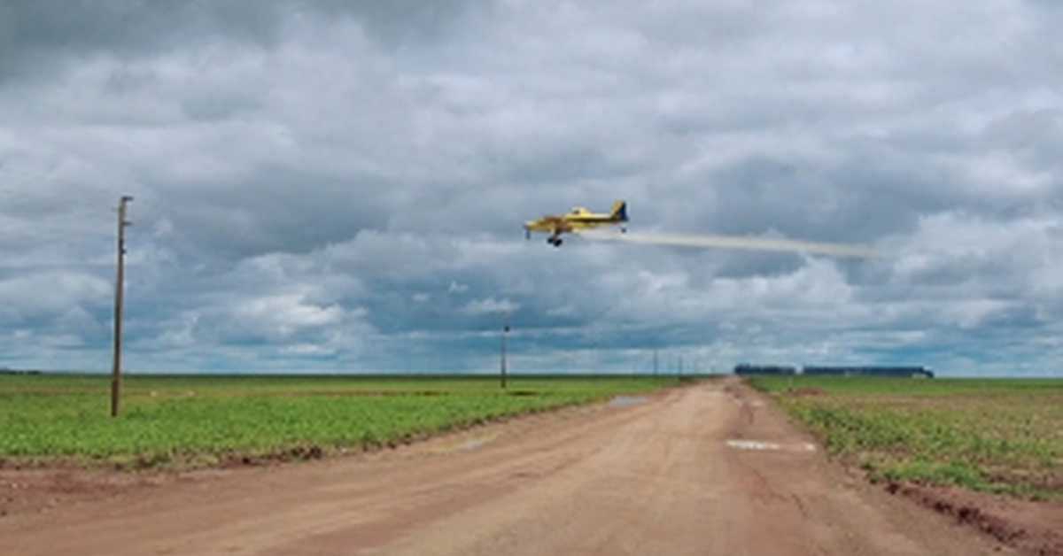 Пестициди и европско лицемрје