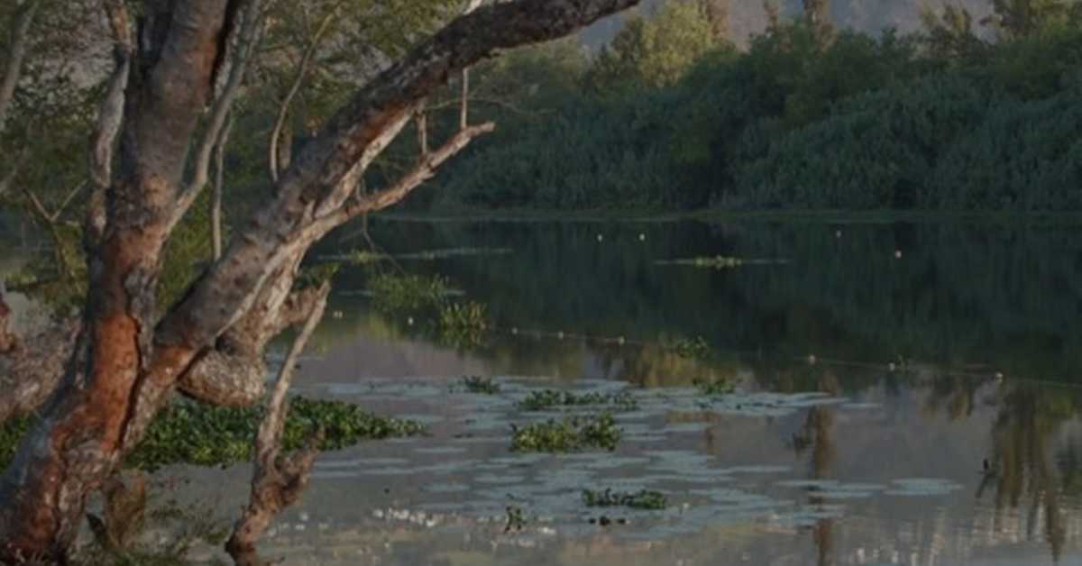 Вода за све 