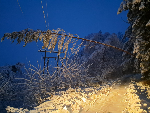Ледени дани у Србији, најтеже у Лозници, ванредна ситуација у девет општина; проблеми са струјом, водом и грејањем