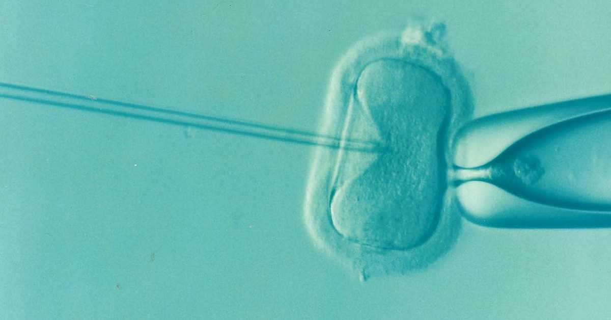 Научници успели да „подмладе“ јајне ћелије, шта то значи за процес вантелесне оплодње