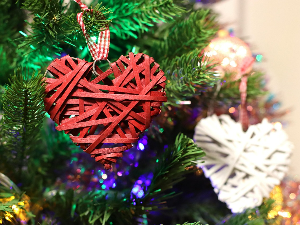 Само нам је љубав потребна