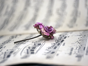 Избор недељног хита класичне музике