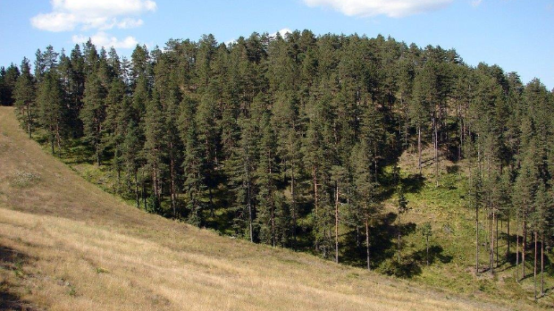 Еду глобал, 284. еп.