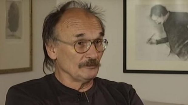 Вечни сјај детињства: Душан Петричић