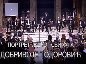 Портрет једног свирача