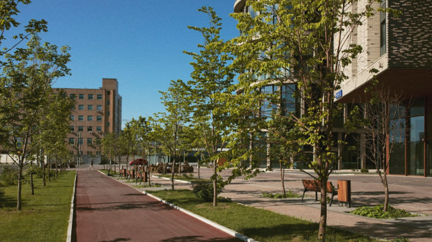 Вечита борба зеленила и бетона у градовима – ко ће победити