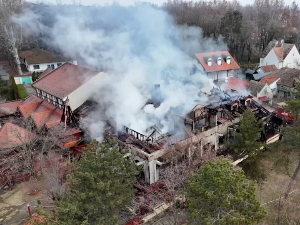 Локализован пожар у ресторану на Палићу