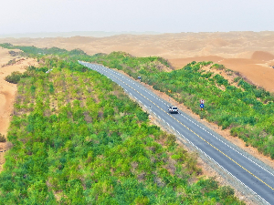 Ушао, али и изашао – Кинези масовном садњом дрвећа од пустиње Такламакан направили упијача угљен-диоксида