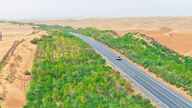 Ушао, али и изашао – Кинези масовном садњом дрвећа од пустиње Такламакан направили упијача угљен-диоксида